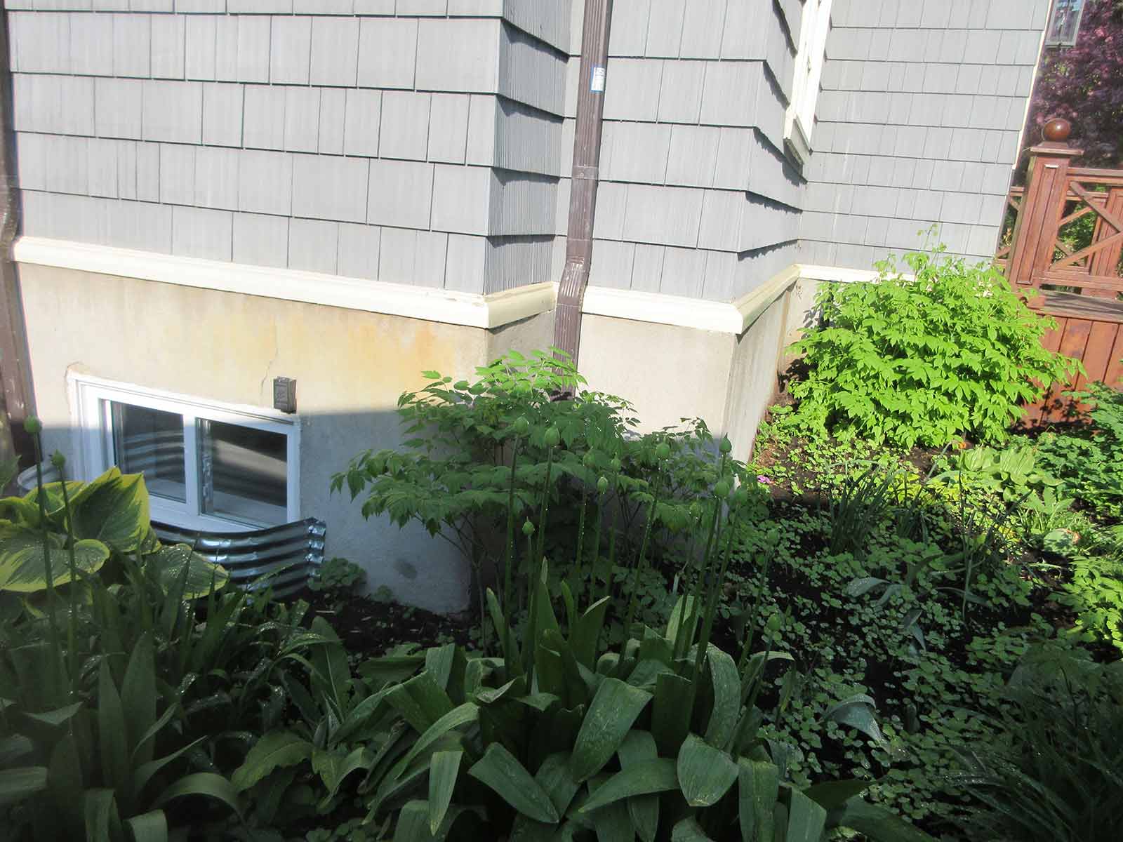 Avant réparation de crépi - avant